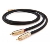 McIntosh CA1M в магазине adk/audio