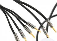 Atlas Hyper Bi-Wire (2 to 4) 3.0m [Transpose Z plug Gold]