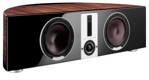 C:\Users\artem\Desktop\КартинкиПитер\httpsadkaudioddali_epicon_vokal_walnut1jpg.jpg