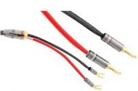 Atlas Mavros wired 2x2 5.0m [Transpose Z plug Gold]