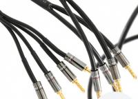 Atlas Hyper Bi-Wire (4 to 4) 3.0m [Transpose Z plug Gold]