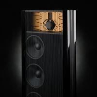 Steinway Lyngdorf Model B Passive Speaker left Custom RAL Lacquer