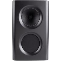 Procella Audio P5 BLACK в магазине adk/audio