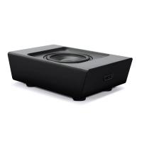 Bluesound PULSE SUB PLUS black в магазине adk/audio