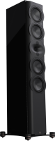 Perlisten Audio R7t