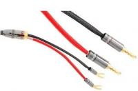 Atlas Mavros wired 2x2 3.0m [Transpose Z plug Gold]